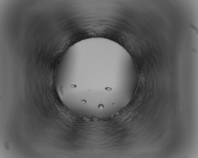 X0000098091012200804251250