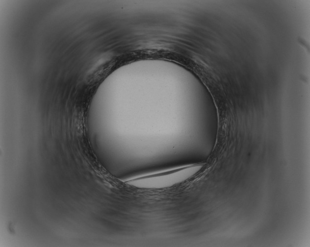 X0000098091014200804251250