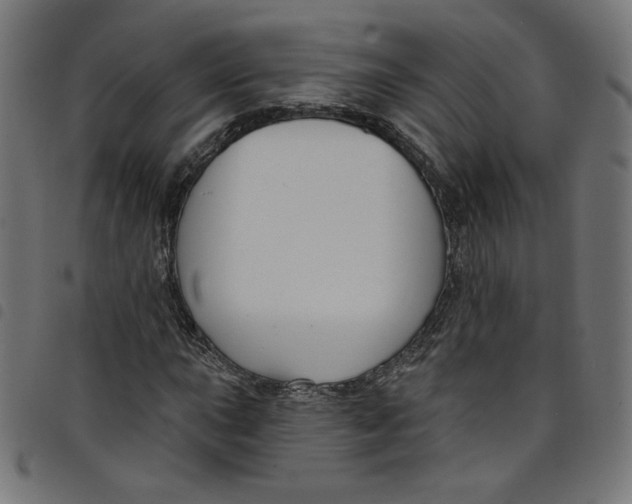 X0000098091015200804251250