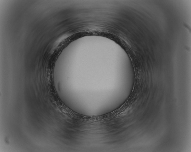 X0000098091016200804251250