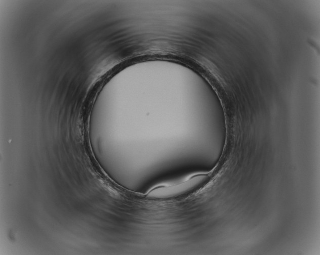 X0000098091018200804251250