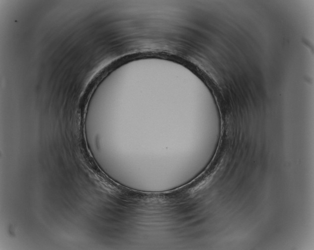 X0000098091021200804251250