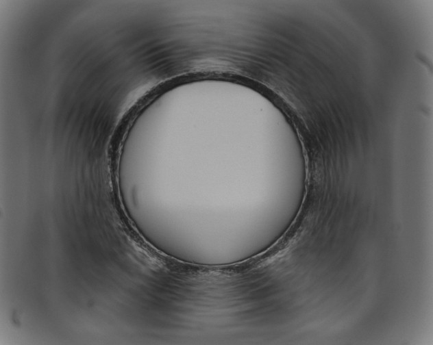 X0000098091022200804251250