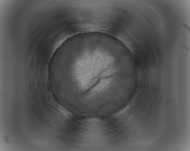 X0000098091023200804251250