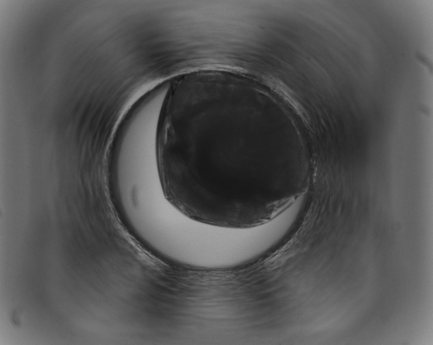 X0000098091024200804251250