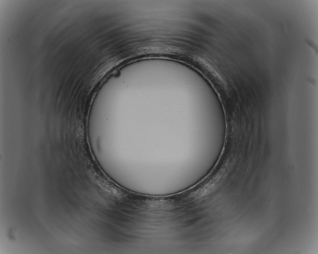 X0000098091025200804251250