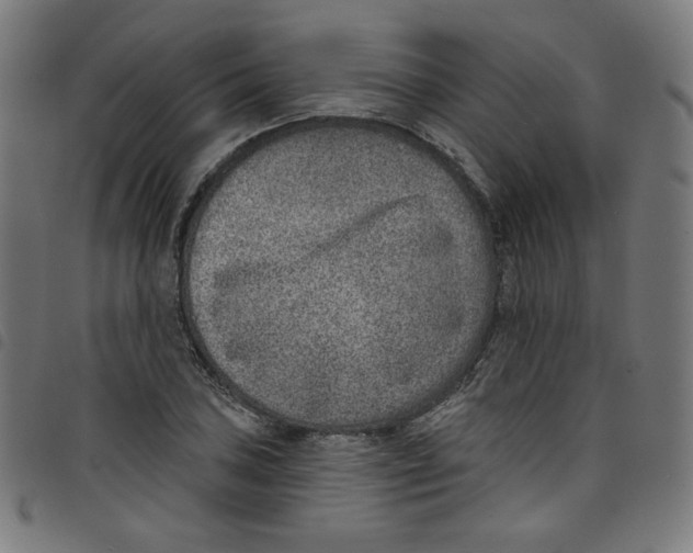 X0000098091027200804251250