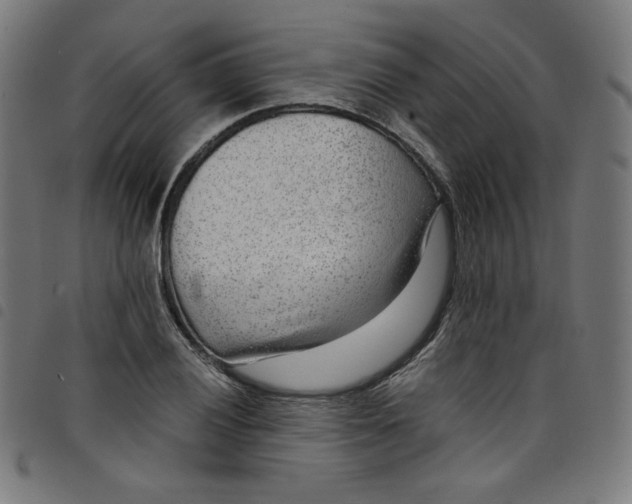 X0000098091028200804251250