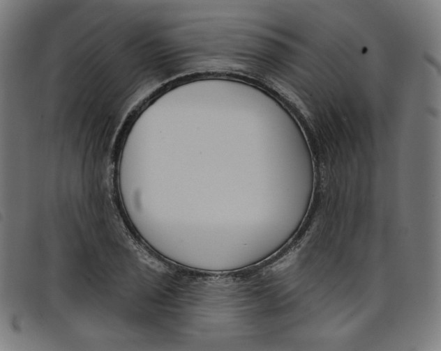 X0000098091029200804251250