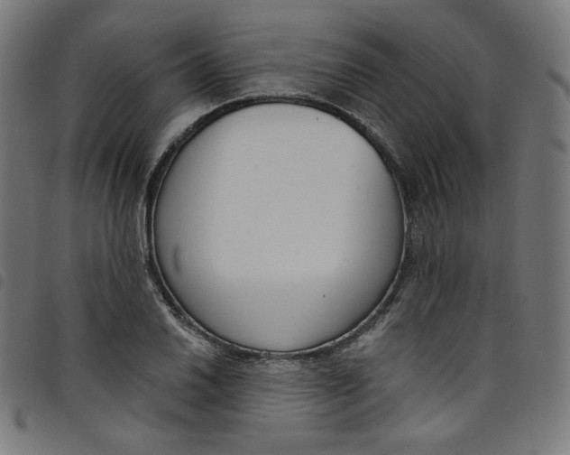 X0000098091030200804251250