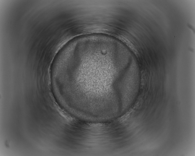 X0000098091031200804251250
