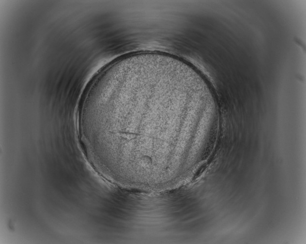 X0000098091032200804251250