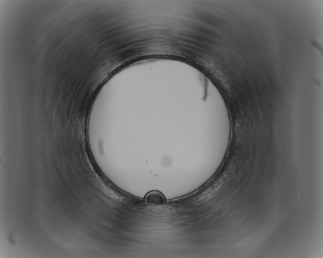 X0000098091033200804251250