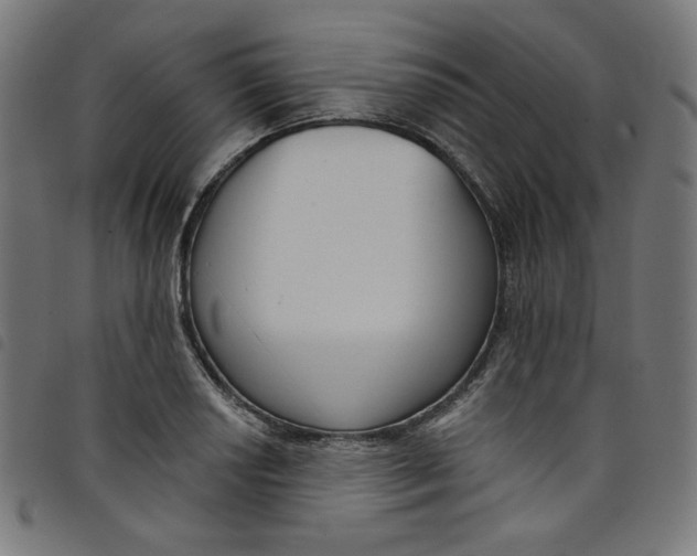 X0000098091034200804251250