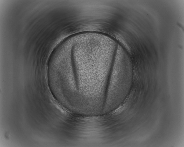 X0000098091035200804251250
