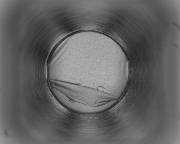 X0000098091036200804251250