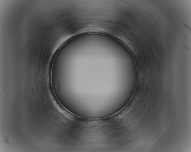X0000098091038200804251250