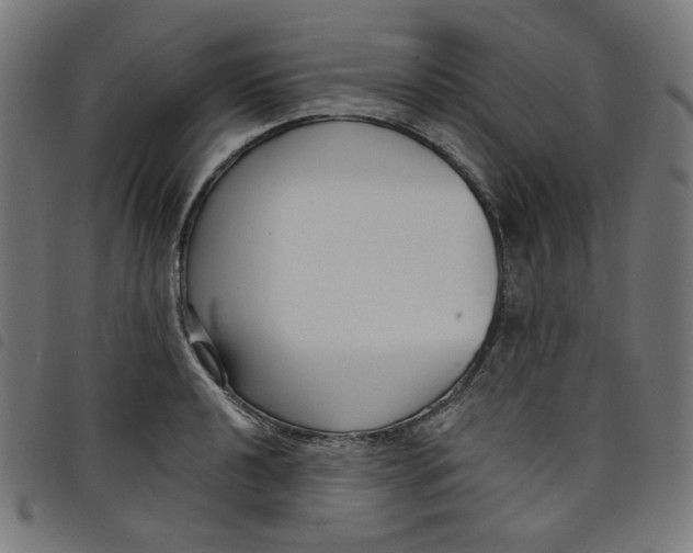 X0000098091040200804251250