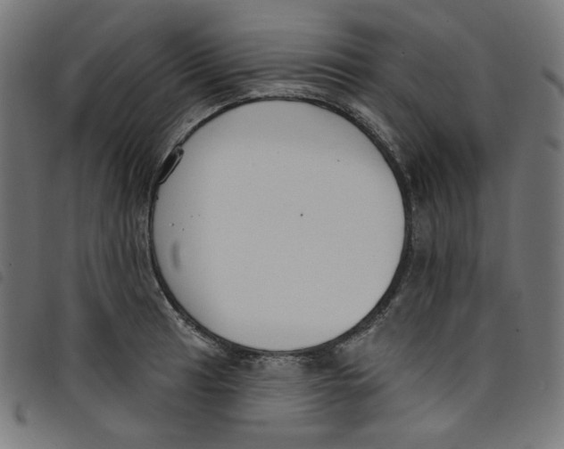 X0000098091041200804251250