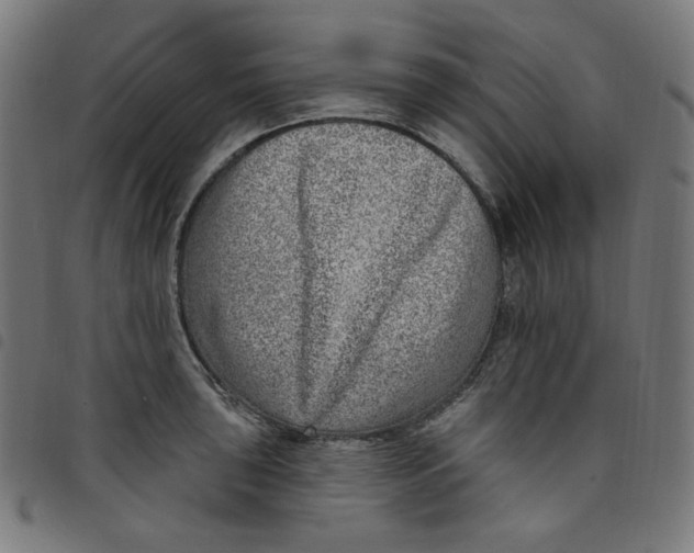 X0000098091043200804251250