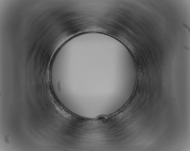 X0000098091044200804251250