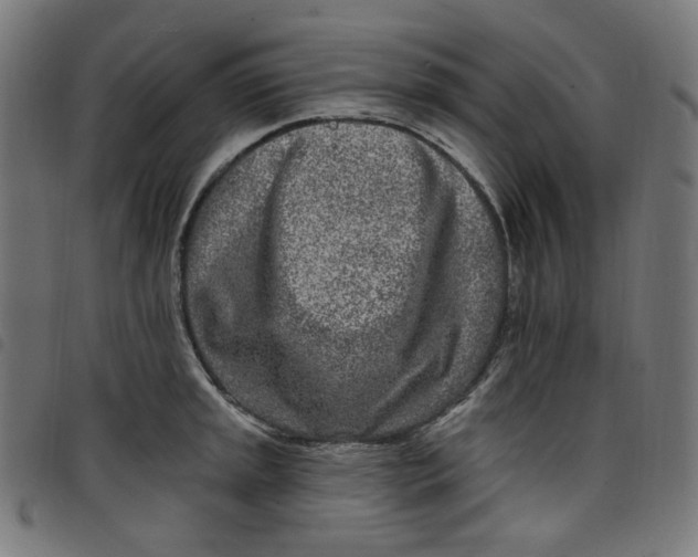 X0000098091045200804251250