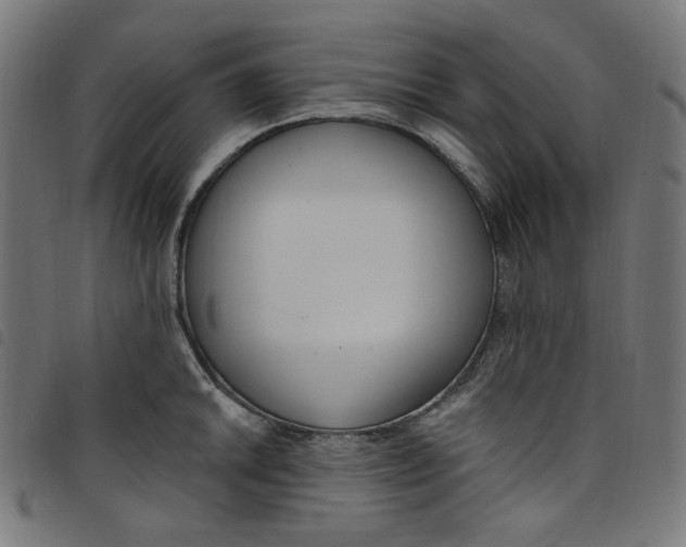 X0000098091046200804251250