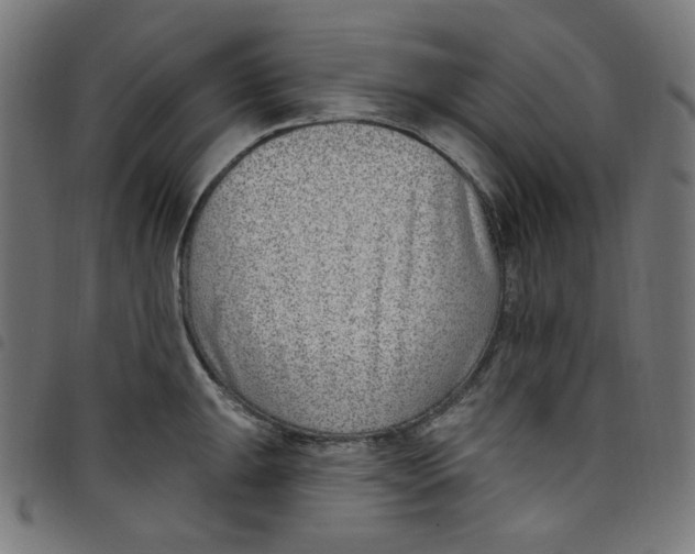X0000098091047200804251250