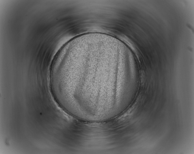 X0000098091048200804251250