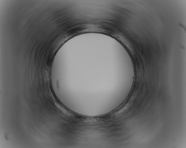 X0000098091049200804251250