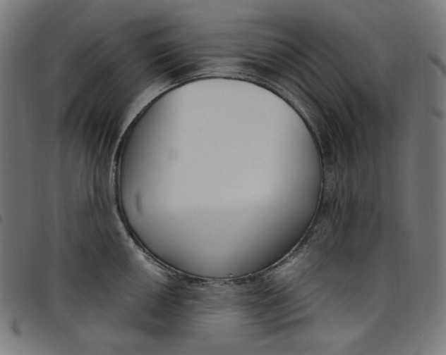 X0000098091050200804251250