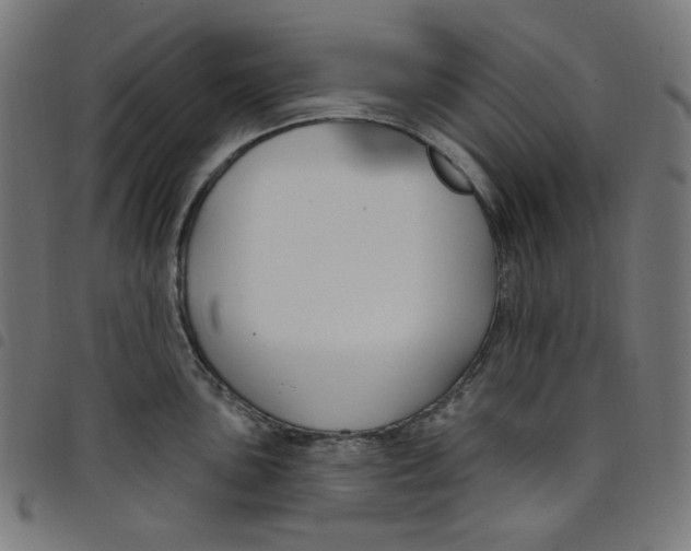 X0000098091051200804251250