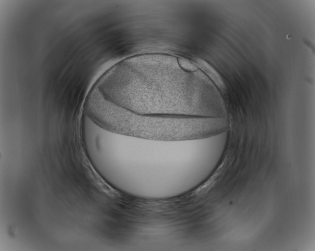 X0000098091052200804251250