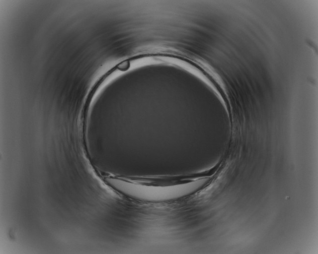 X0000098091053200804251250