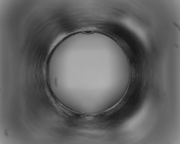 X0000098091054200804251250