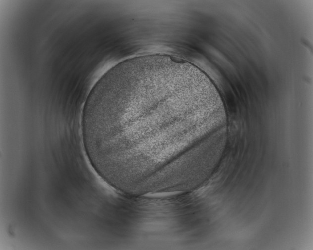 X0000098091055200804251250