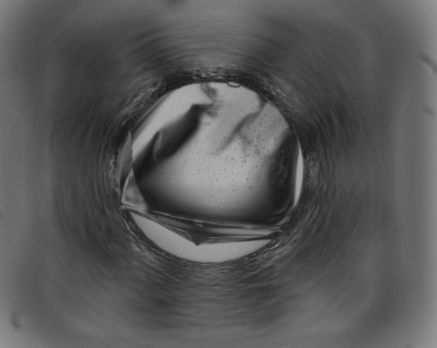 X0000098091060200804251249