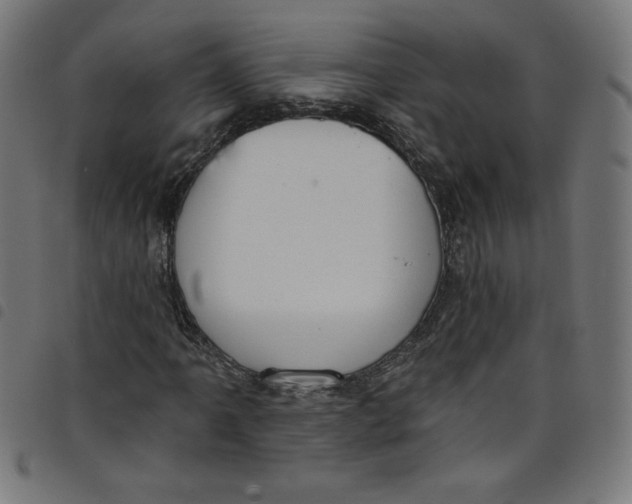 X0000098091061200804251249