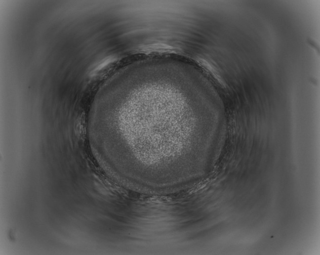 X0000098091063200804251249