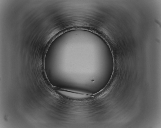 X0000098091065200804251249