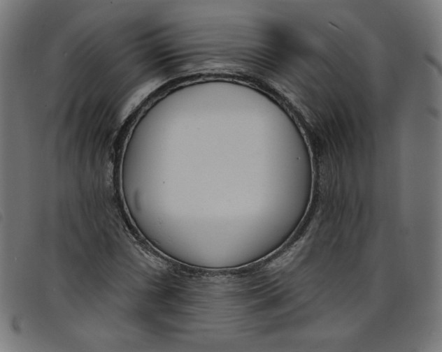 X0000098091066200804251249