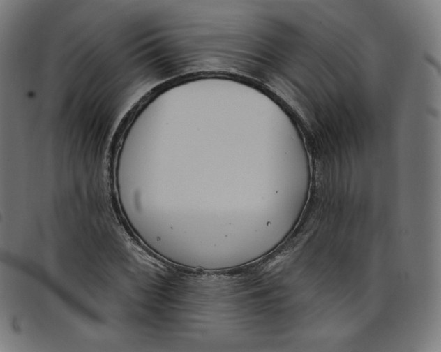 X0000098091068200804251249