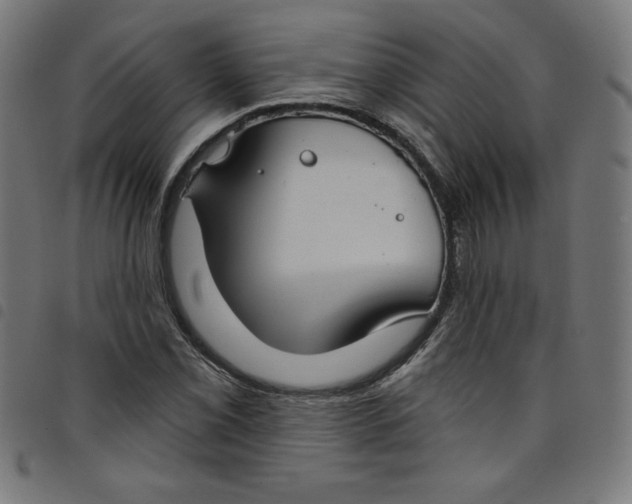 X0000098091069200804251249