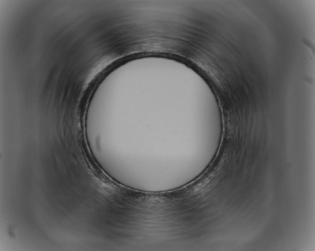 X0000098091070200804251249