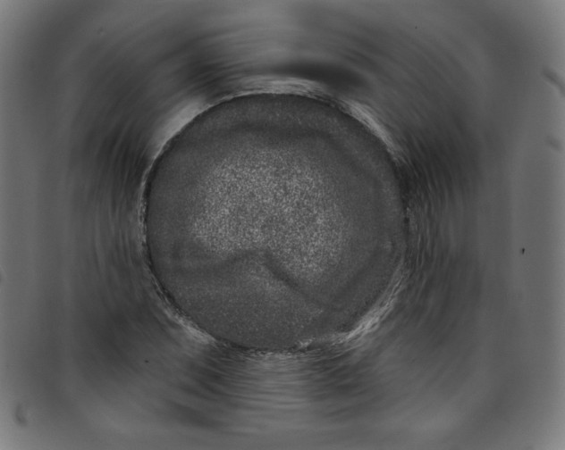 X0000098091071200804251249