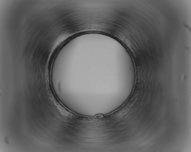 X0000098091072200804251249