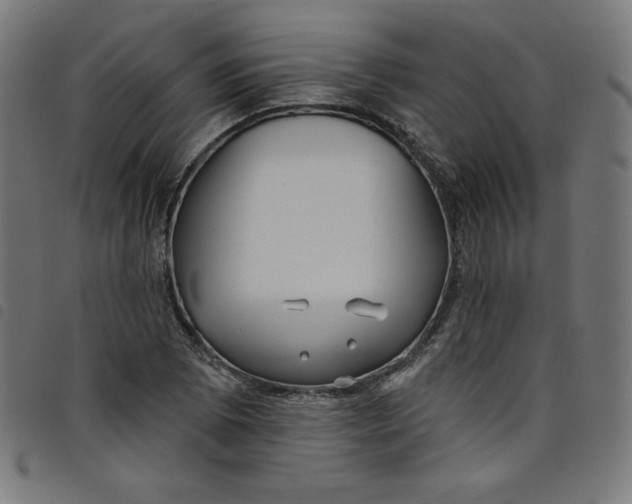 X0000098091073200804251249