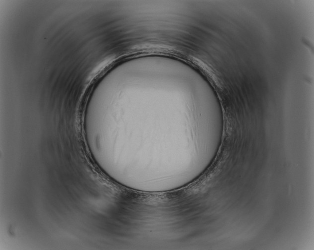 X0000098091074200804251249