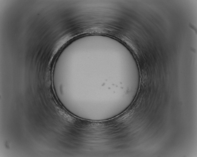 X0000098091075200804251249