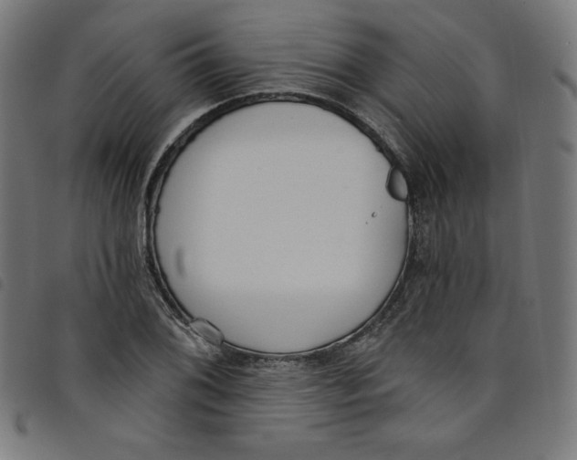 X0000098091076200804251249